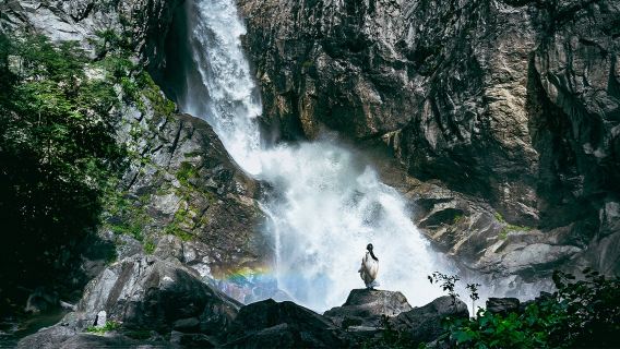 【洛陽起止】白雲山1日遊·天天發團·景區內自由活
