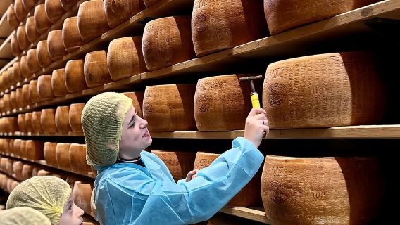 Seni Parmigiano Reggiano dan cuka Balsamic sebenar