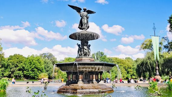 Pedicab Tours Central Park