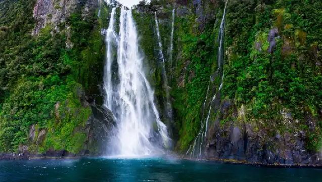 New Zealand Milford Sound / Piopiotahi 1-day tour - Small group of 16 + Mercedes tour vehicle + cruise + lunch