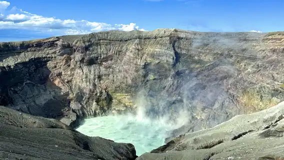 Kyushu Nature & Culture Tour: Sacred Forest, Aso Caldera & Rustic Onsen