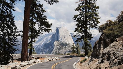 Yosemite Day Tour from San Francisco Day Tours