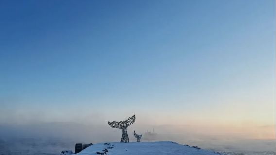 Россия|Терийберка - Ледяной водопад + Пляж Драконьих яиц + Кораблекрушение + Скелет кита + Трон|индивидуальный трансфер/аренда автомобиля с водителем