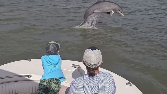 90 minuten durende privé-dolfijnentour op Hilton Head Island
