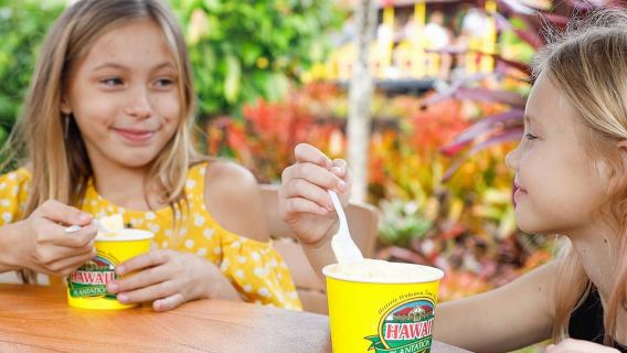 Oahu: Chuyến tham quan đồn điền Dole & Haleiwa Express Deluxe