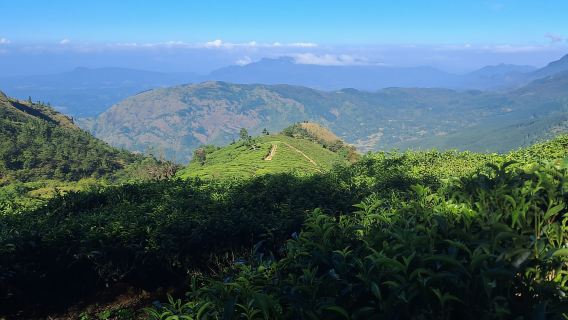 Belihuloya: Tour tham quan có hướng dẫn đường mòn đi bộ đường dài Baker's Bend