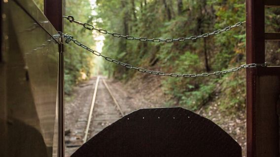 Mendocino County: Skunk Train Wolf Tree Turn Train Ride
