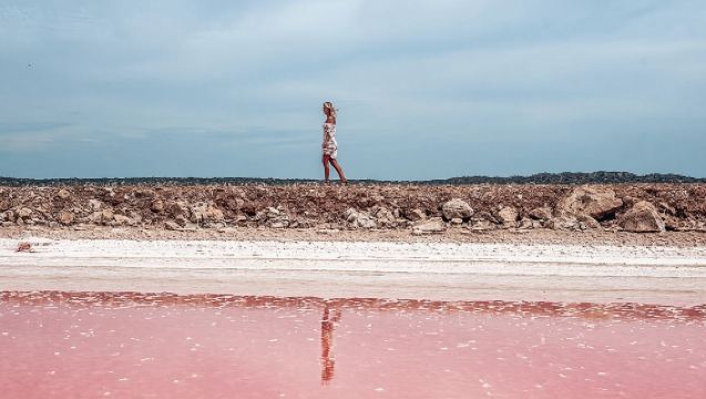 Lawatan Sehari ke Adelaide, Australia: Penghayatan Wain di Penfolds Magill Estate + Tasik Pink dengan Panduan Bahasa Cina