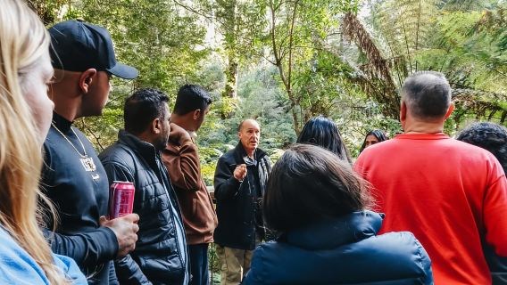 Da Melbourne: Great Ocean Road, 12 Apostoli, Wildlife Tour