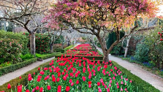 Woodside: Filoli Historic House and Garden Entry Ticket