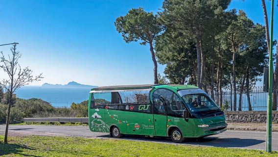 Из Геркуланума: панорамный открытый тур. Направление: Везувий