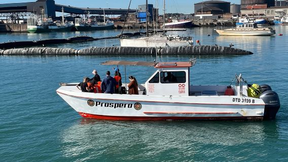 Gqeberha: CROCIERA NEL PORTO