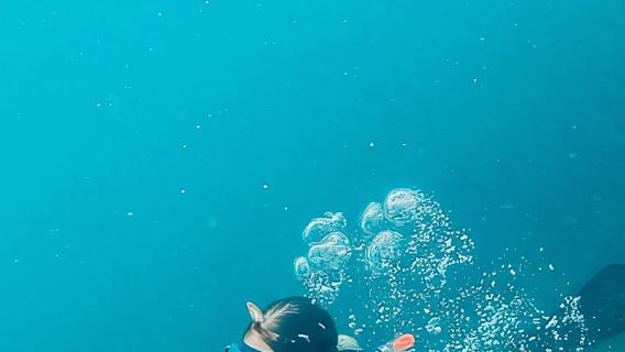 DAR ES SALAAM: JELAJAH SNORKELING PULAU MBUDYA & GERAK PANTAI