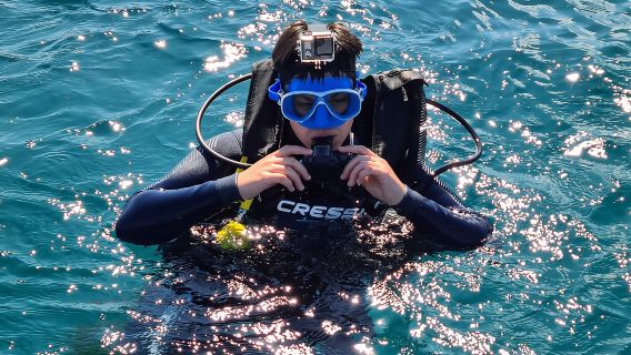 Alicante : Expérience de plongée sous-marine pour débutants à Denia