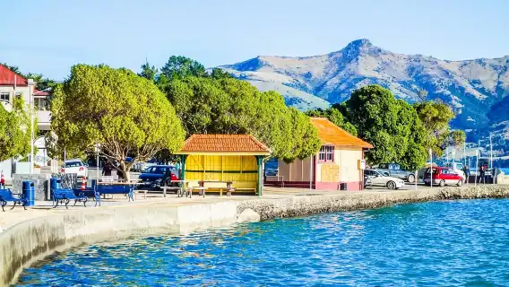 Akaroa Dolphin Round-trip& Alpaca Farm one-day tour[Small Group, Chinese/Mandarin Guide]