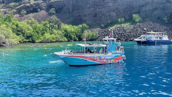 Captain Cook Reef Snorkeling of Kealakekua Bay