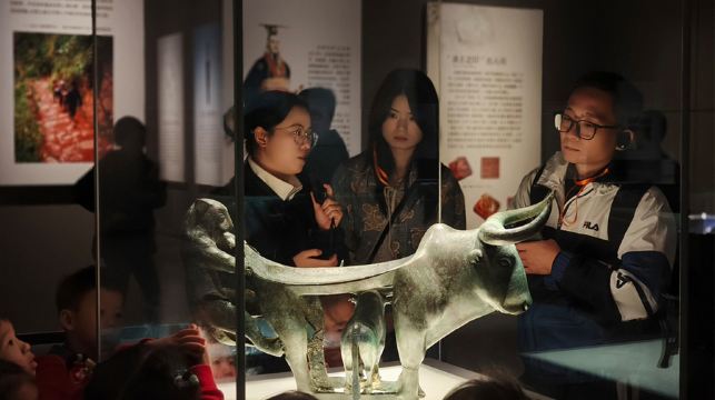 石林風景區+雲南省博物館包車一日遊：含門票+省博2小時講解