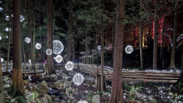 加拿大溫哥華一日遊-行程可調【中文包車自由行】