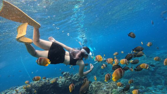 Snorkeling Day Trip To Lembongan and Penida
