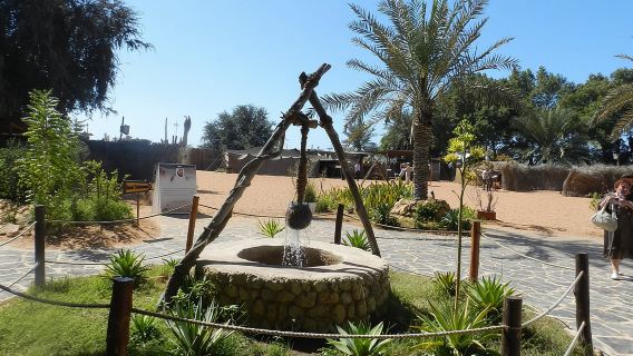 Abu Dhabi City Tour from Dubai with Grand Mosque