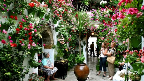 Patios de Córdoba: Guided Tour