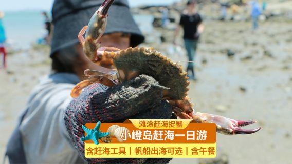 廈門小嶝島一日遊【趕海（含工具）•環島遊•海鮮餐•遠眺金門】