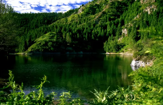 新疆+天山天池+烏魯木齊天山大峽谷一日遊【上門接送精品小團】