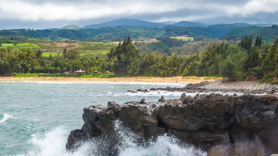 アメリカ・ハワイ・マウイ島ワンデーツアー【西部ツアー2名様から8,952円】