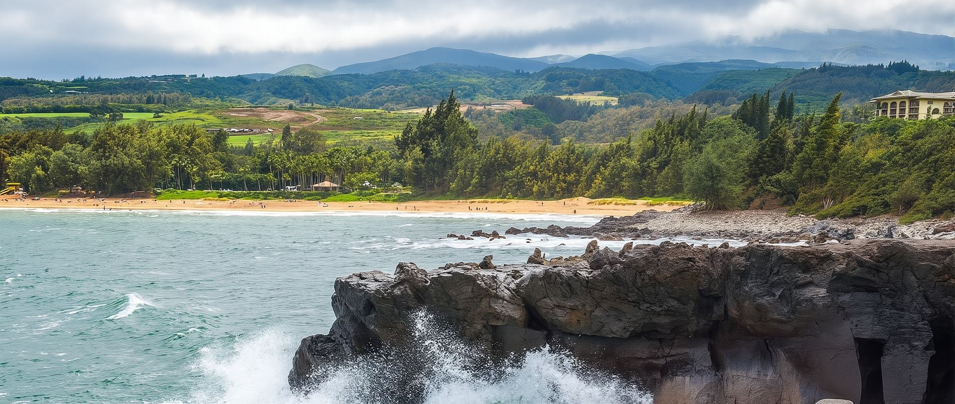 Tour di un giorno a Maui, Hawaii, USA [Viaggio verso ovest, prenotazione minima per 2 persone 8952]