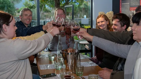 Tour enologico di un giorno intero a Marlborough con degustazione di vini