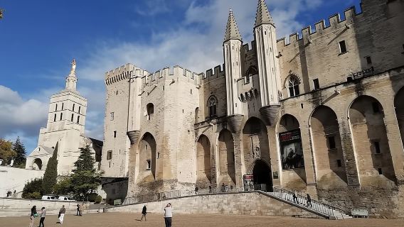 プロヴァンスワンデーツアー【1名様から予約可/アヴィニョン/ワイン試飲付き/ワイナリー見学】