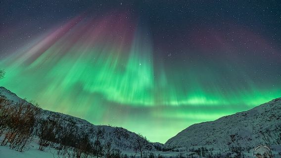 "a journey in search of the Northern Lights" | Photography