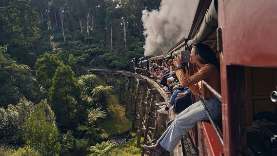 Puffing Billy Steam Train and Healesville Wildlife Sanctuary one-day tour