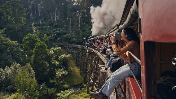 Puffing Billy Steam Train and Healesville Wildlife Sanctuary one-day tour