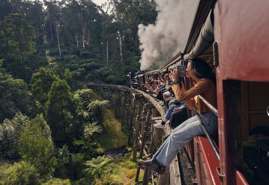 1 day Puffing Billy Steam Train and Wildlife Tour from Melbourne AUD 223.33