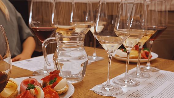 Small Carpathian Route Wines Tasting Tour in Bratislava City Center