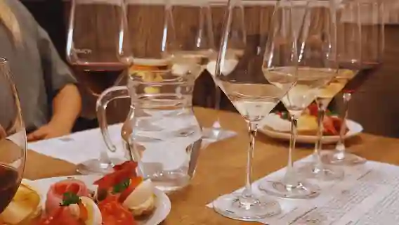 Small Carpathian Route Wines Tasting Tour in Bratislava City Center