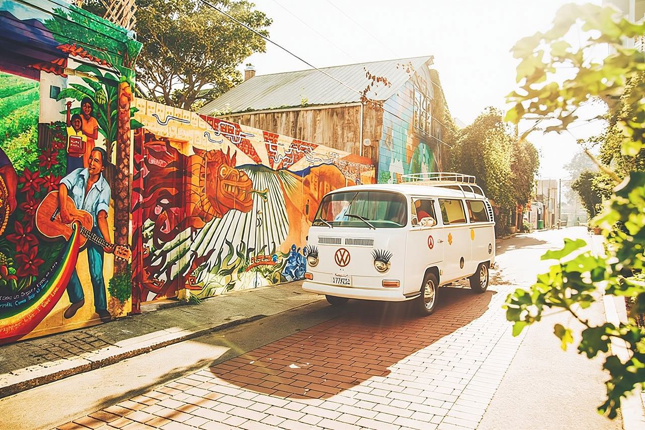 Painted Ladies San Francisco City Tour