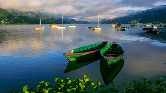 Xe buýt tham quan địa phương Pokhara 2025