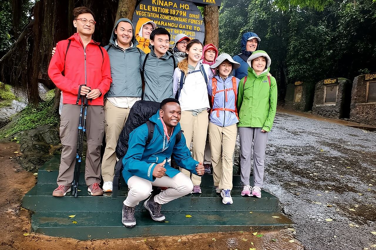 Esperienza di escursione privata di un giorno intero lungo il percorso Marangu