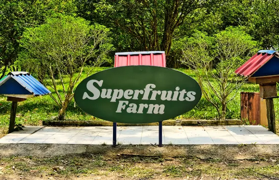 柔佛親子自然探索一日遊 |獨立包車+含門票 【新山出發】