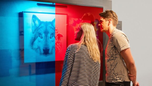 Biglietto d'ingresso al Museo delle illusioni