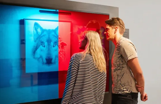 幻覺博物館入場門票