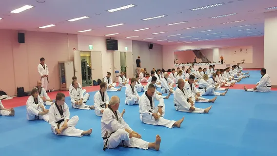 Taekwondo Fighting Experience in Daegu