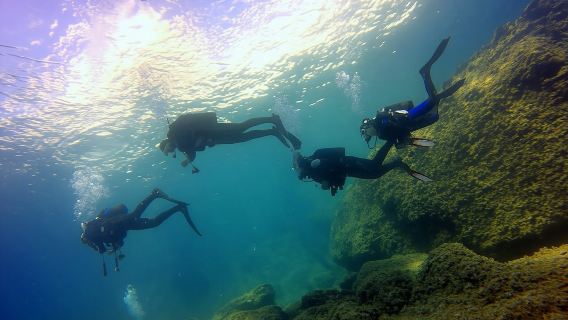 Scuba Diving Experience