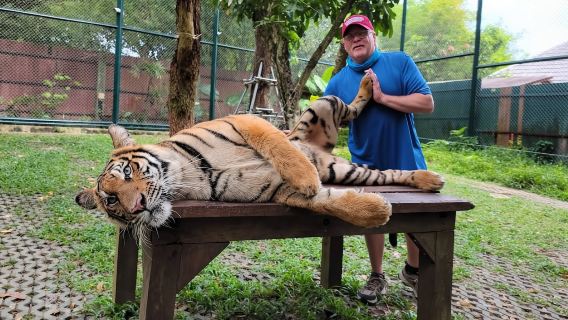 You can choose to private charter with an English driver for 8 hours | Patong+Tiger Kingdom+Phuket Town+Promthep Peninsula