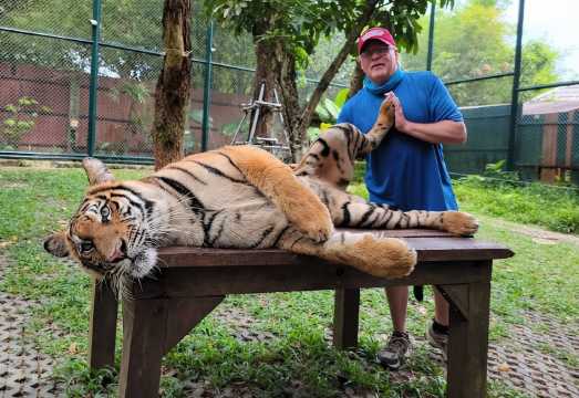 8-hour private charter with Chinese/English-speaking driver | Patong + Tiger Kingdom + Old Phuket Town + Promthep Cape