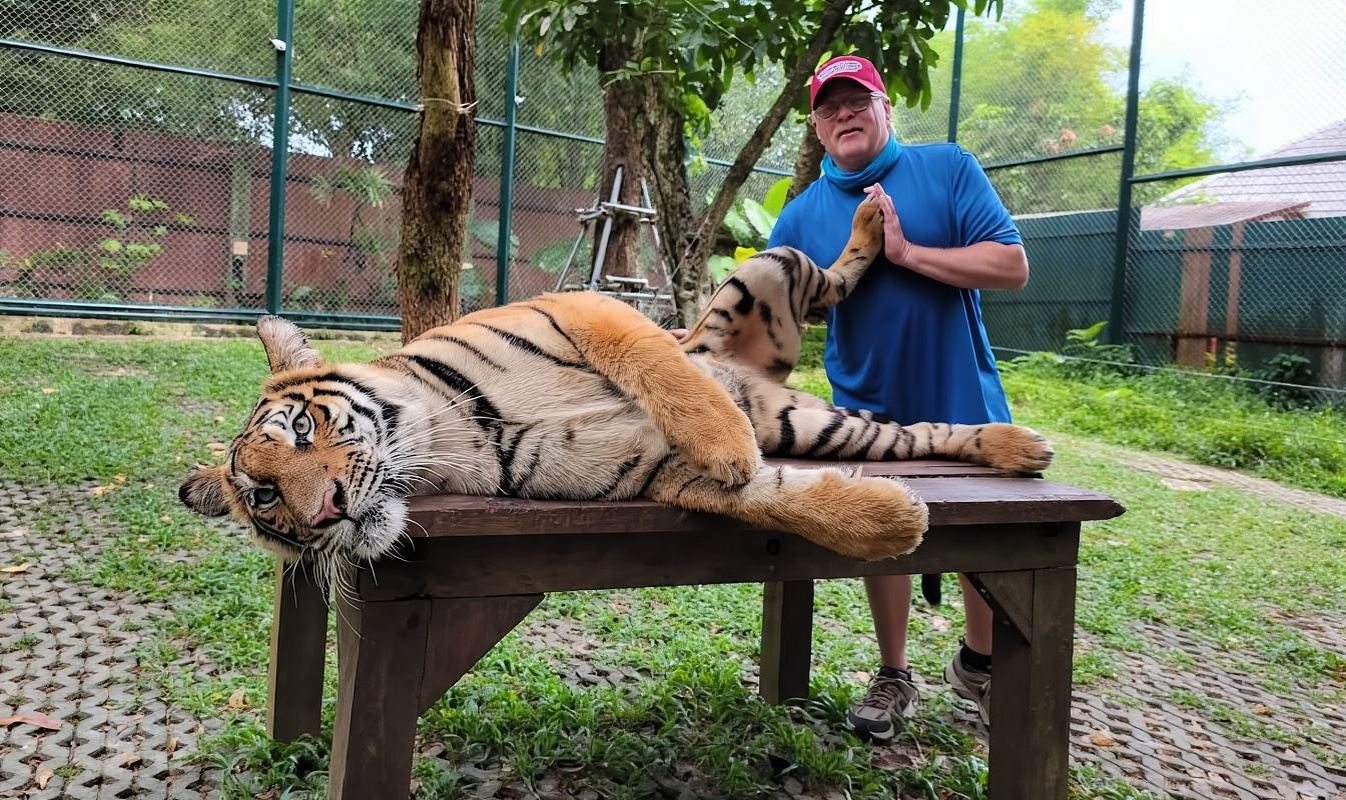 เลือกเหมารถพร้อมคนขับภาษาไทย/อังกฤษ 8 ชั่วโมง | ป่าตอง + อาณาจักรเสือ + Old Phuket Town + Promthep Cape