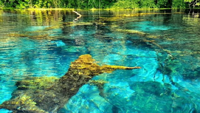 Butrint, Ksamil, Blue Eye, Lekuresi Castle. All-in-one daytrip.