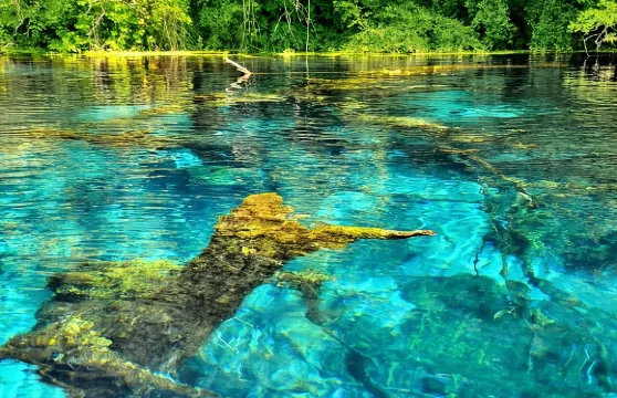 布特林特、科薩米爾、藍眼睛泉、Lekuresi Castle。一日遊全包。